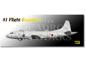 �ե����������롡EP-3�����弫���⡡��31�Ҷ�������81�Ҷ��⡡