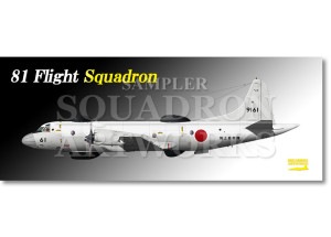 �ե����������롡UP-3D�����弫���⡡��31�Ҷ�������81�Ҷ��⡡