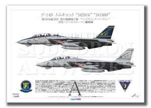 F-14B Tomcat  VF-32 Fighting Swordsmen  2005 Showbird100 #101  2ver  A3 Prints)