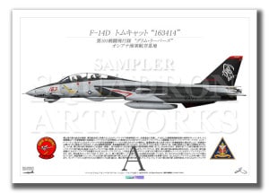 F-14D Tomcat  VF-101 Grim Reapers 163  2004  A4 Prints)
