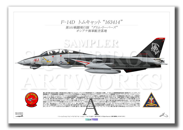 F-14D Tomcat  VF-101 Grim Reapers “163”  2004  （A4サイズ Prints)