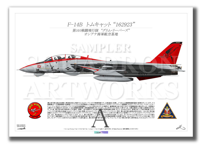 F-14B Tomcat  VF-101 Grim Reapers “101”  1995  （A3サイズ Prints)