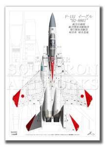 Top view ĸɡF-15JԳȯ¸ġҶ⡡70ǯǰ2024