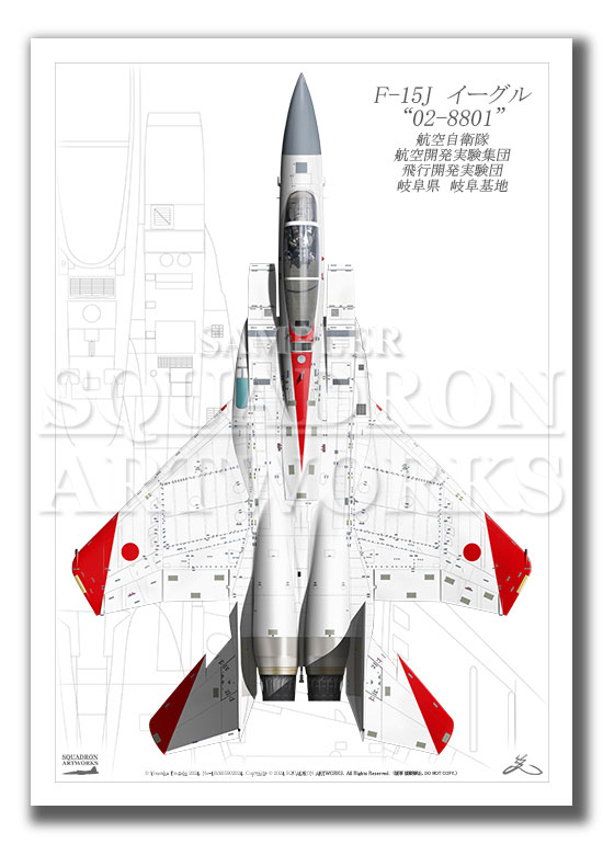 “Top view 縦向き”　F-15J　飛行開発実験団　航空自衛隊　創設70周年記念　2024　"02-8801"　（A4サイズ Prints)