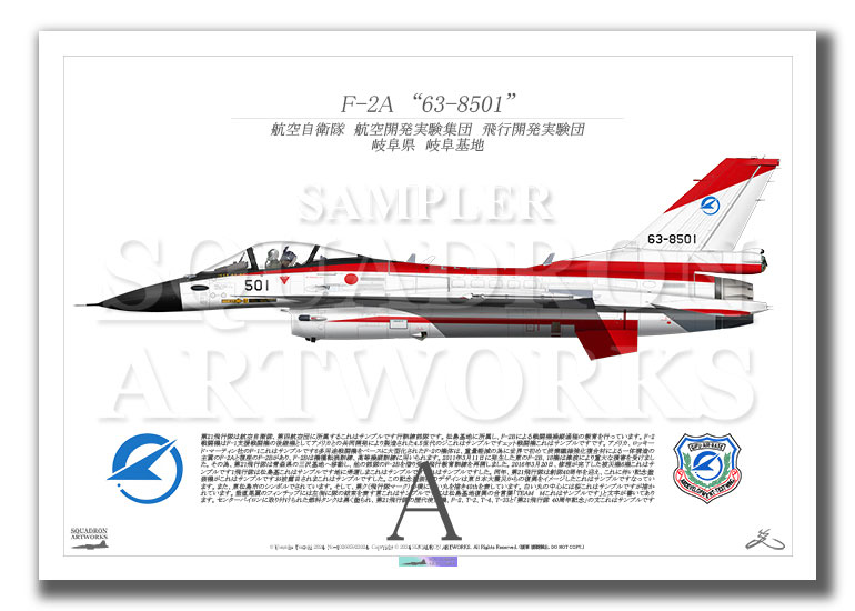 F-2A 飛行開発実験団 試作初号機 2024 