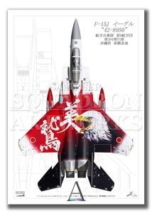Top view ĸɡF-15J롡204⡡60ǯǰ202442-8950ɡA2 Prints)