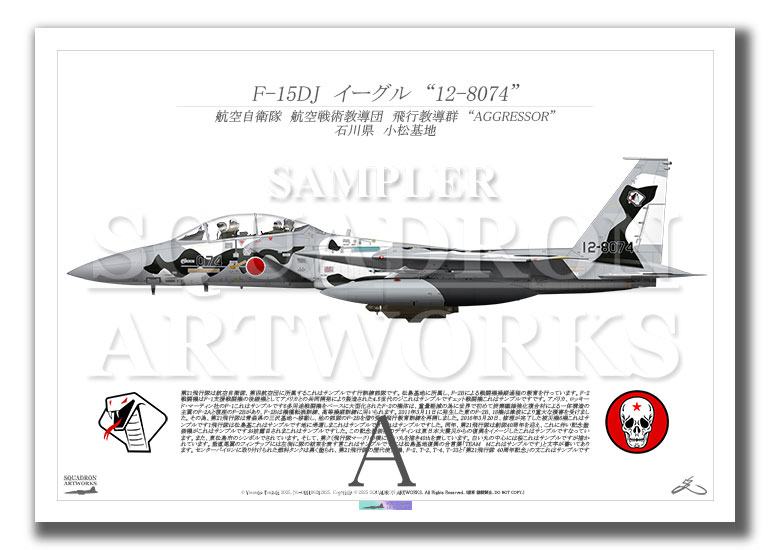F-15DJ イーグル 飛行教導群 アグレッサー 