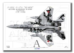 Top view褳ɡF-15DJ롡ԶƳå