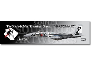ڥƥåۡF-15DJ롡ԶƳå