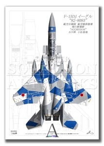 Top viewĸɡF-15DJ롡ԶƳå