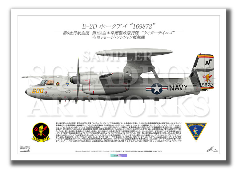 E-2D　ホークアイ　VAW-125　Tigertails　600　“169872”　（A2サイズ Prints)
