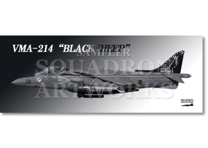 ե롡AV-8B+ Harrier VMA-214 BLACKSHEEP165421