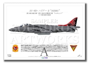 AV-8B+ Harrier VMA-311 TOMCATS165001ɡA2 Prints)