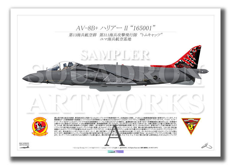 AV-8B+ Harrier Ⅱ　VMA-311 TOMCATS　“165001”　（A2サイズ Prints)