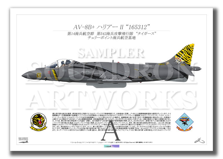 AV-8B+ Harrier Ⅱ　VMA-542 TIGERS　“165312”　（A2サイズ Prints)