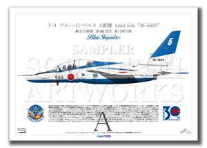 ��11�����⡡����30��ǯ��T-4���֥롼����ѥ륹��5�ֵ�����36-5693�� ��A3������ Prints)