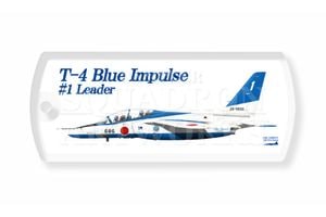 �ɥå����������ۥ��������11�����⡡����30��ǯ��T-4���֥롼����ѥ륹