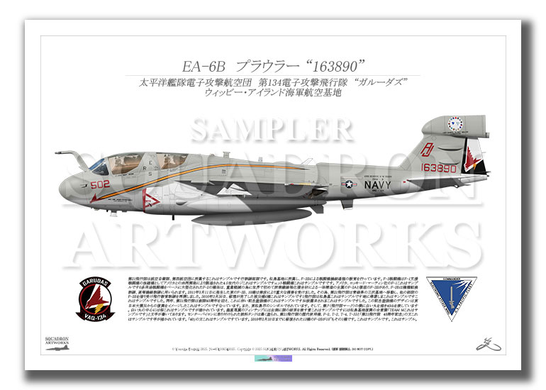 EA-6B　プラウラー　VAQ-134　“Garudas”　“163890”　（A3サイズ Print)