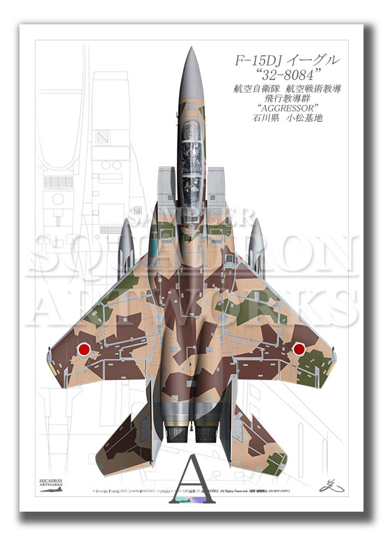 “Top view　縦向き”　　F-15DJ　イーグル　飛行教導群　アグレッサー　"32-8084"　（A4サイズ Print)