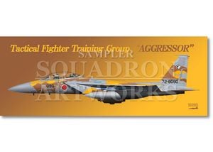 �ե����������롡F-15DJ���������롡���Զ�Ƴ����������å�����