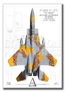 F-14A トムキャット VF-154 ブラックナイツ 1995 Showbird “161621