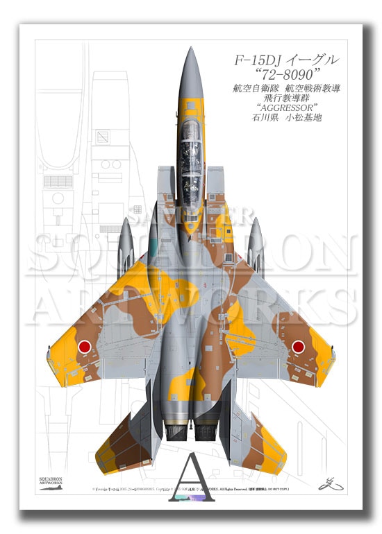 “Top view　縦向き”　F-15DJ　イーグル　飛行教導群　アグレッサー　"72-8090"　2025　（A4サイズ Print)