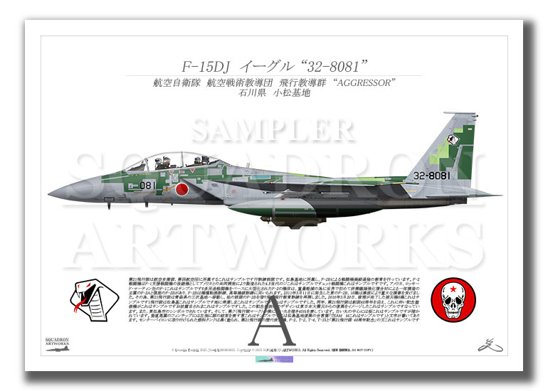 F-15DJ　イーグル　飛行教導群　アグレッサー　"32-8081"　（A4サイズ Prints)