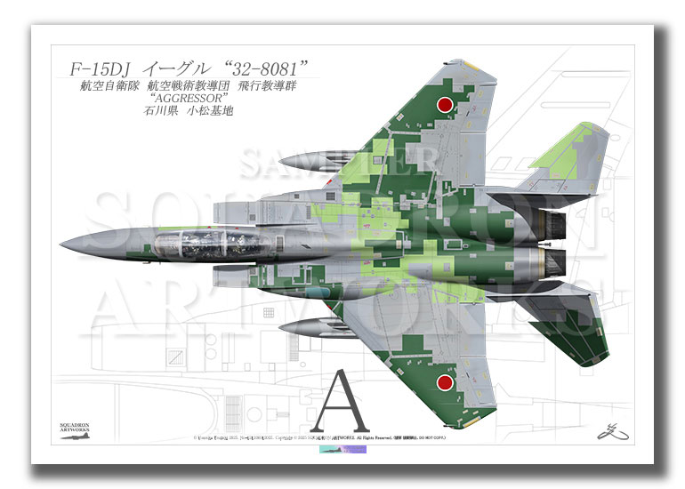 “Top view　よこ向き”　F-15DJ　イーグル　飛行教導群　アグレッサー　"32-8081"　（A4サイズ Print)