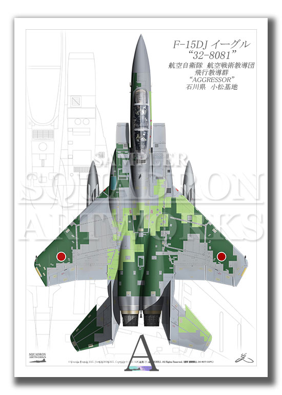 “Top view　縦向き”　F-15DJ　イーグル　飛行教導群　アグレッサー　"32-8081"　（A4サイズ Print)