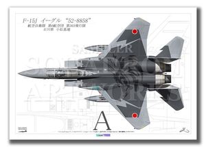 F-15DJ イーグル 飛行教導群 アグレッサー 