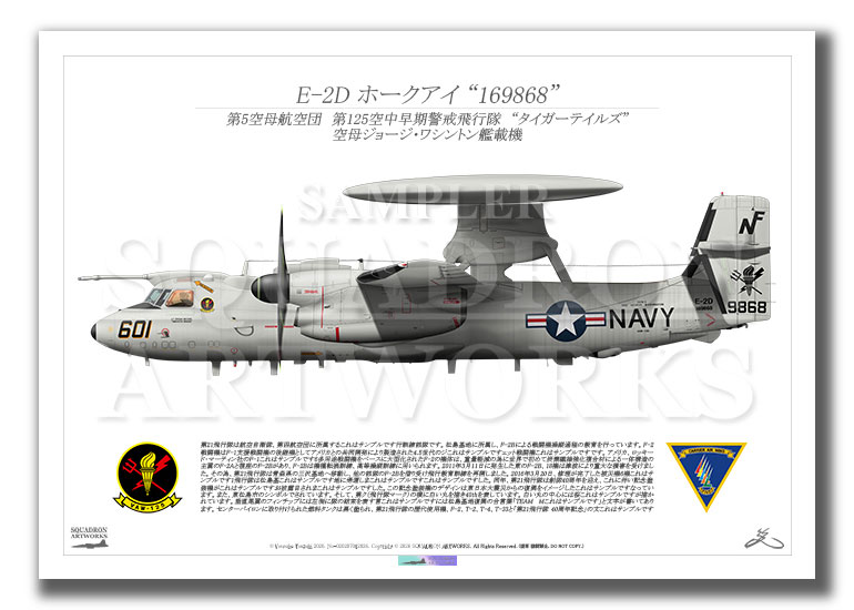 E-2D　ホークアイ　VAW-125　Tigertails　601　“169868”　（A2サイズ Prints)