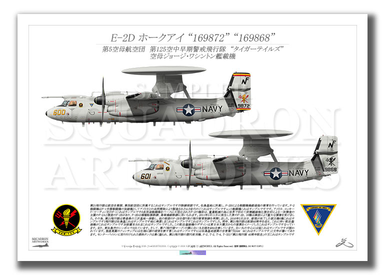 E-2D　ホークアイ　VAW-125　Tigertails　600 601　2機ver　（A2サイズ Prints)