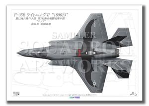 ��Top view �褳�����ɡ�F-35B��Lightning����VMFA-242��Bats����169623��  2026  (A4 Size Print)