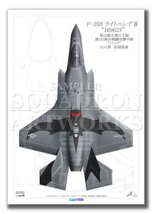 ��Top view �ĸ����ɡ�F-35B��Lightning����VMFA-242��Bats����169623��  2026  (A4 Size Print)
