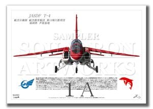 EA-18G グラウラー VAQ-209 “スターウォーリアーズ” 2018 Showbird