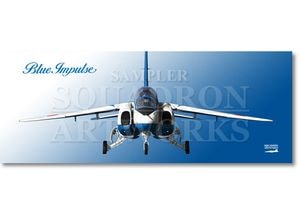 �ե����������롡JASDF T-4 �֥롼����ѥ륹��Front View