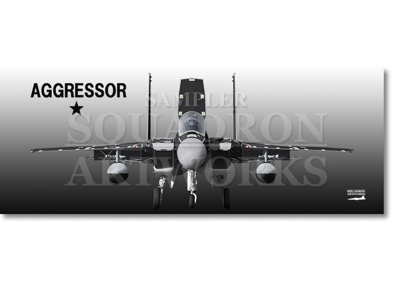 フェイスタオル　航空自衛隊　JASDF　F-15DJ　イーグル　Front View　飛行教導群　"92-8096"