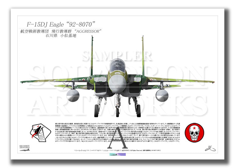航空自衛隊 JASDF F-15DJ イーグル Front View 飛行教導群 