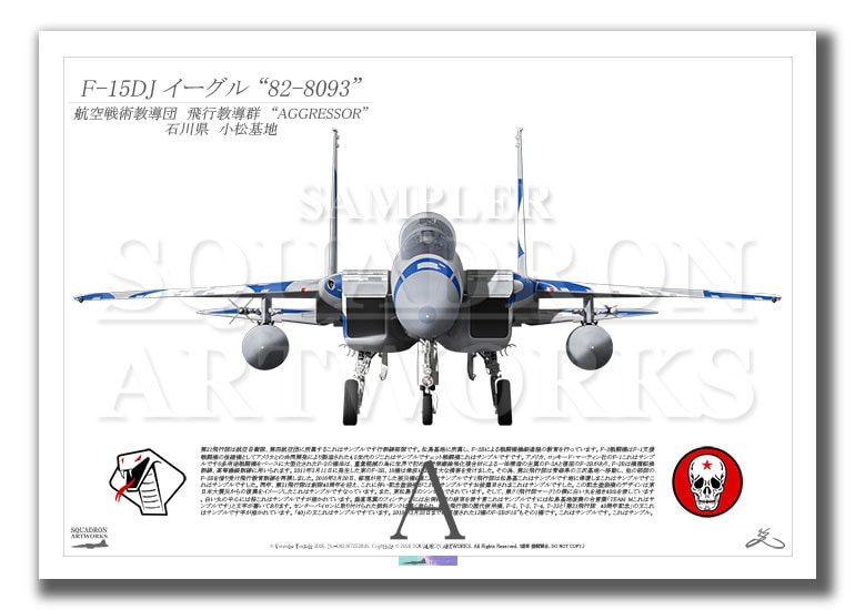 航空自衛隊 JASDF F-15DJ イーグル Front View 飛行教導群 