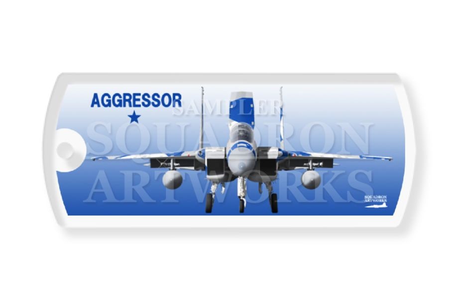 ドッグタグキーホルダー　航空自衛隊　JASDF　F-15DJ　イーグル　Front View　飛行教導群　"82-8093"