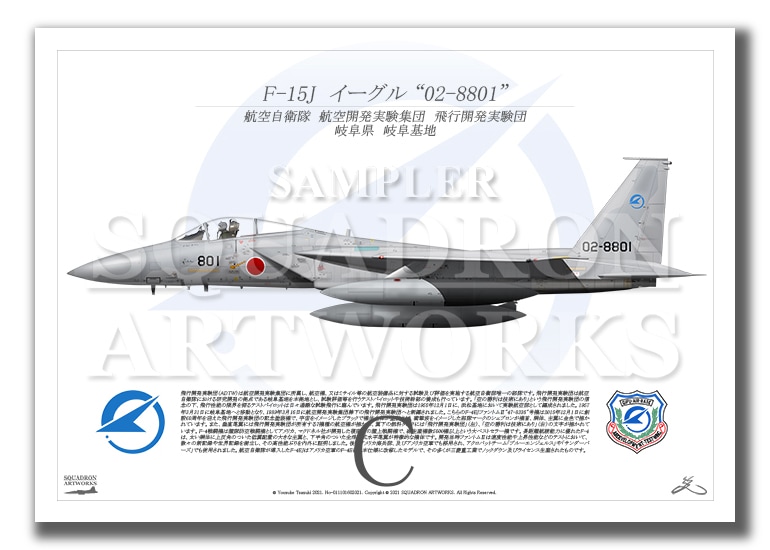 F-15J 飛行開発実験団 