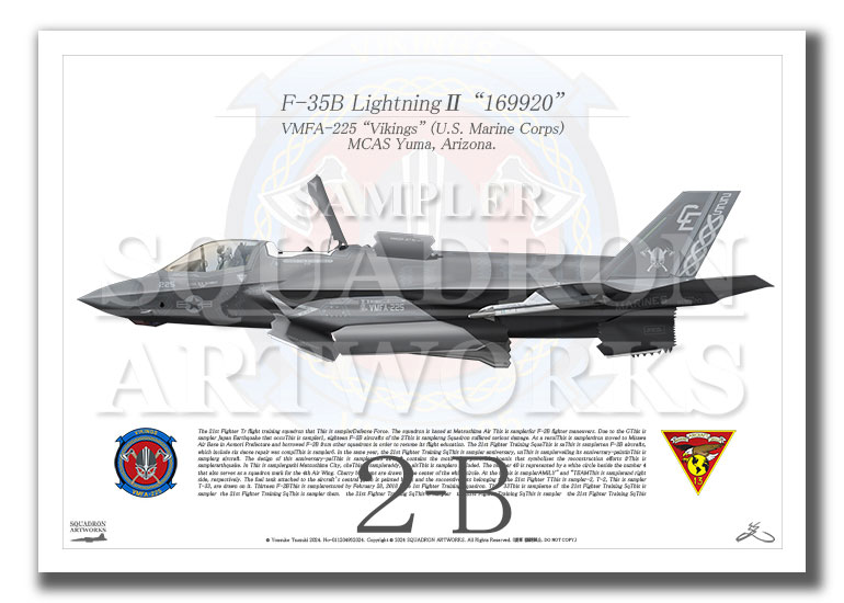 F-35B LightningⅡ VMFA-225 Vikings “169920” (A2 Size Print