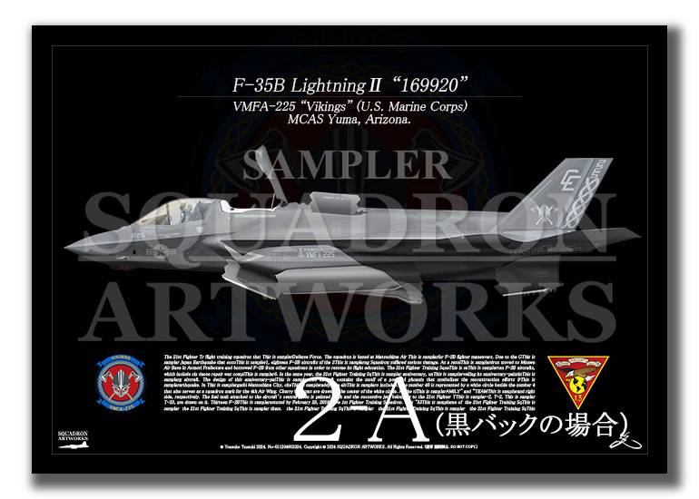Hobby Master 1:72 F-35B Lightning II – USMC VMFA-225 Vikings – Modalità Bestia – HA4620B - 2