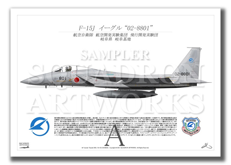 F-15J 飛行開発実験団 