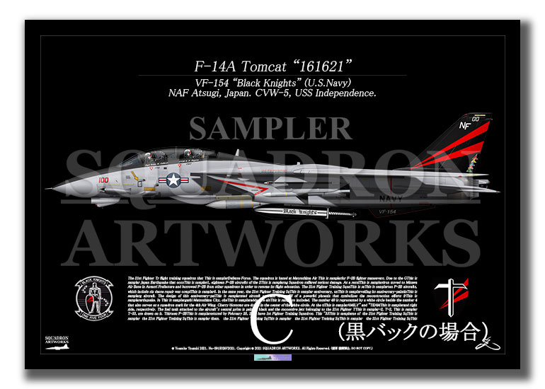 F-14A ȥ७å VF-154 ֥åʥ 1995 Showbird 161621 A4 Prints)