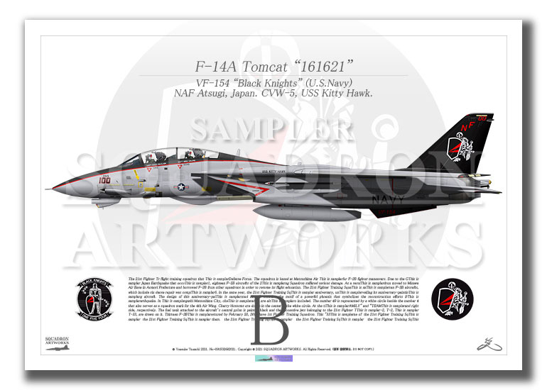 F-14A ȥ७å VF-154 ֥åʥ 2000 Showbird 161621 A4 Prints)