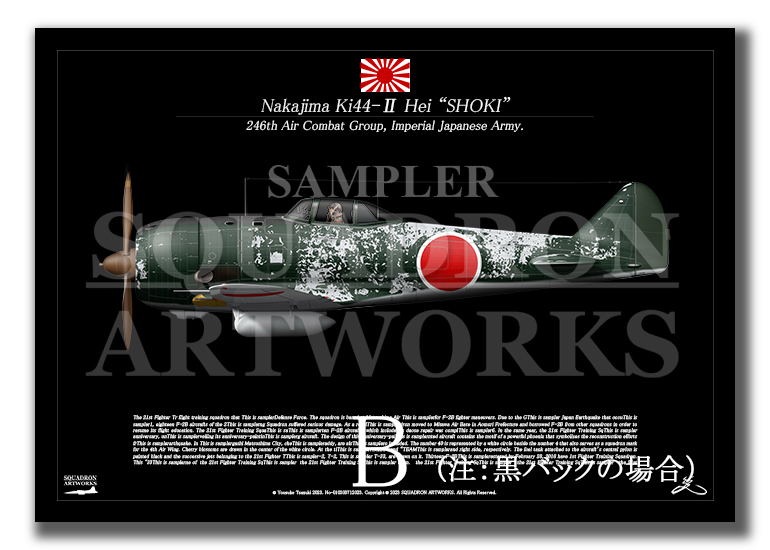 中島 キ44 二式単座戦闘機 鍾馗 Ⅱ型丙 飛行第246戦隊 Ki44 “SHOKI