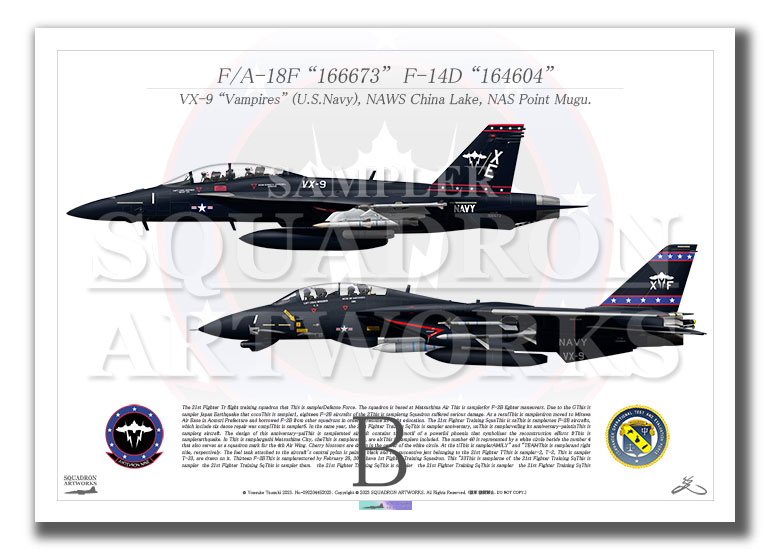 航空機・ヘリコプター 1/72 F-14D TOMCAT VX-9 VAMPIRES VANDY 1 Amazon | 1/72 for Century Wings F-14D Tomcat US Navy VX-9 Vampires