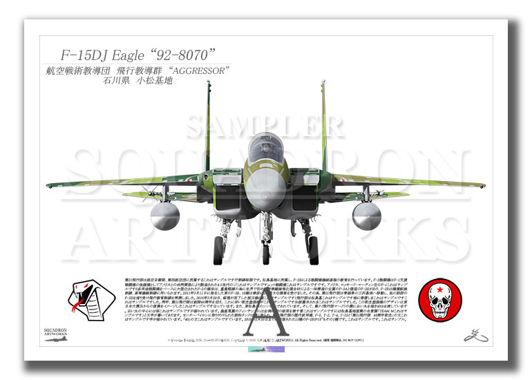 航空自衛隊 JASDF F-15DJ イーグル Front View 飛行教導群 