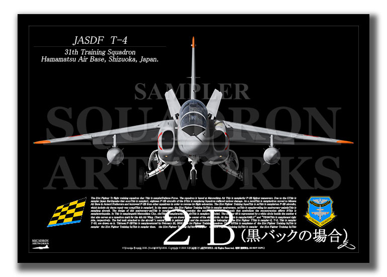JASDF T-4 航空自衛隊 第31教育飛行隊 浜松基地 (A2 Size Print
